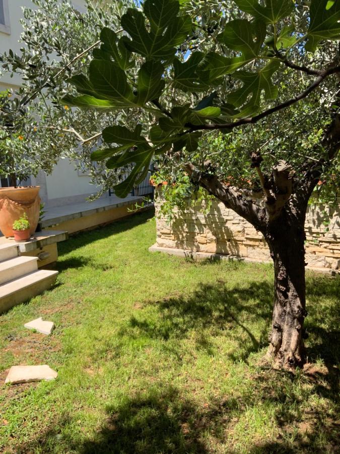 Apartment Provance بولا المظهر الخارجي الصورة